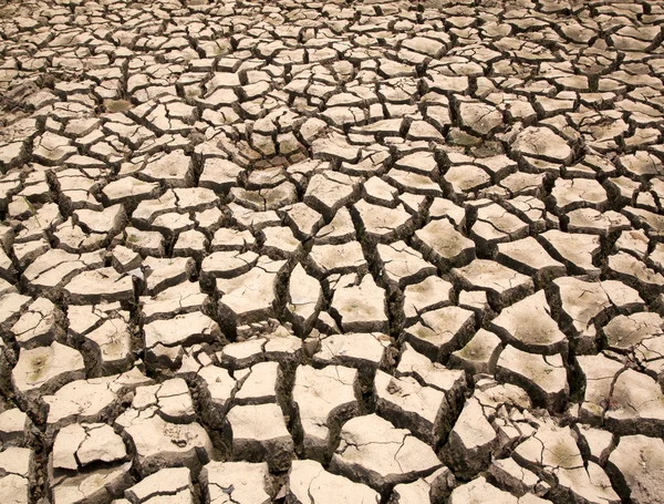 Sequía las grietas del suelo —  Fotos de Stock