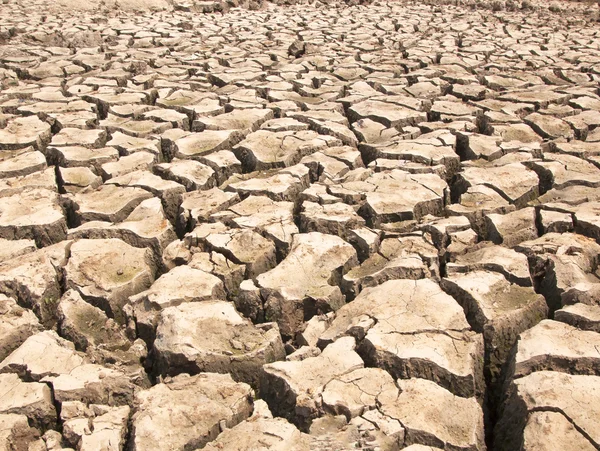 Tierra reseca por sequía — Foto de Stock