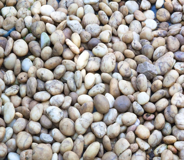 Piedras de guijarro —  Fotos de Stock
