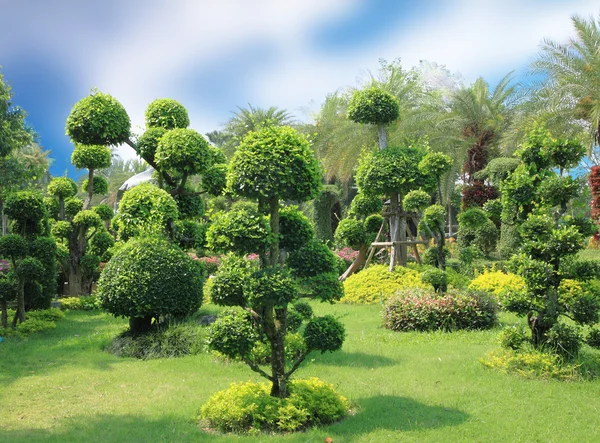 Bonsai-Garten — Stockfoto
