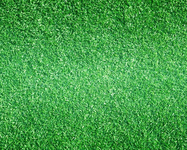 Golfových hřišť zelený trávník — Stock fotografie