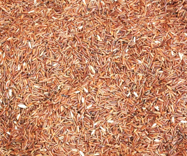 Brown rice — Stock Photo, Image