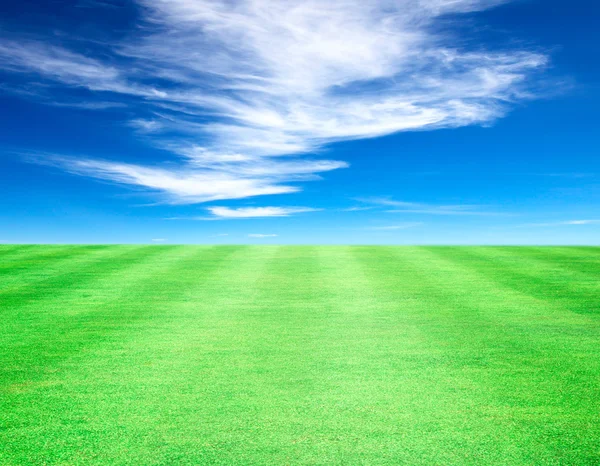 Lawn sky