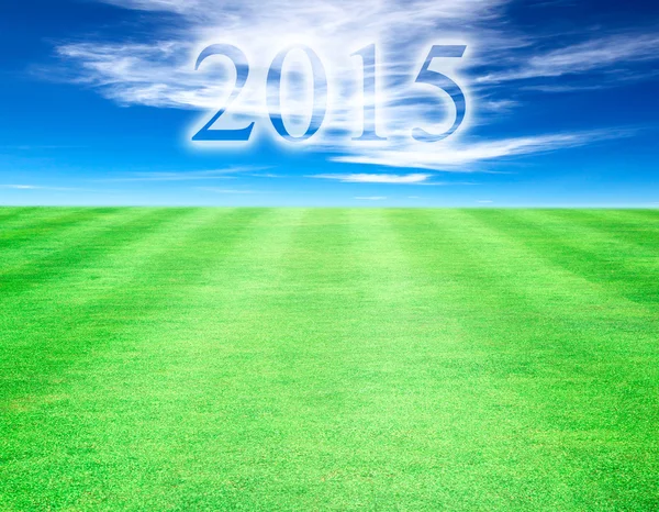 Gazon hemel achtergrond jaar 2015. — Stockfoto