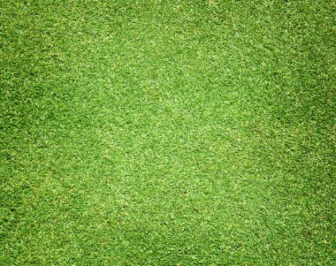 Golf sahaları yeşil çim