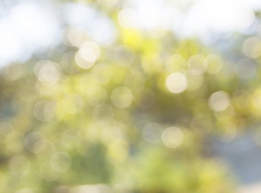 Bulanık Bokeh Arkaplanı