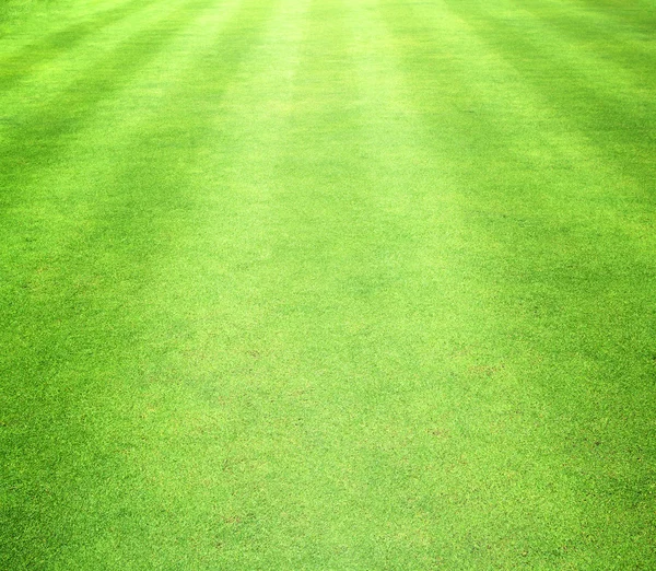 Campos de golf césped verde — Foto de Stock