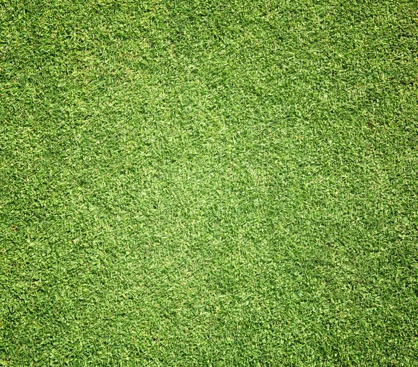 Golf Courses green lawn — Stock Photo, Image