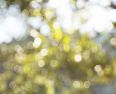 bokeh bulanık arkaplan dokusu