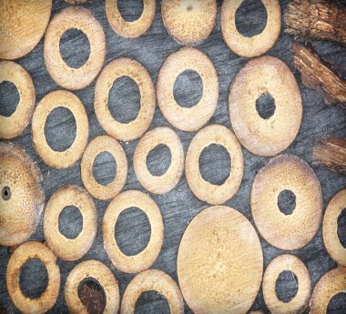 Bambu Hindistan cevizi kabuğu duvar