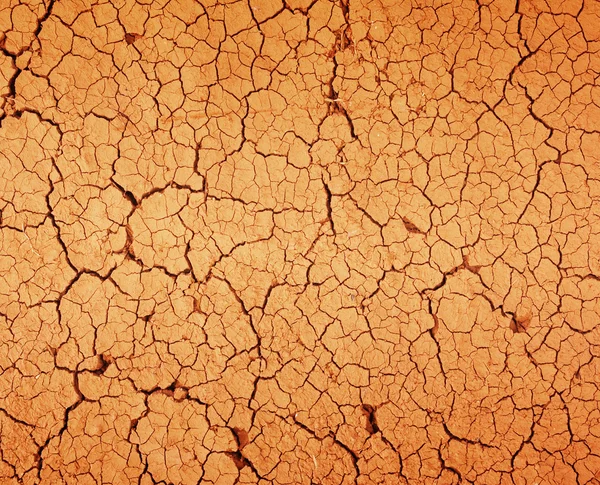 Drought the ground cracks — Stock Photo, Image