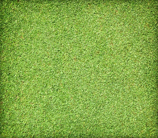 Golf Courses green lawn — Stock Photo, Image