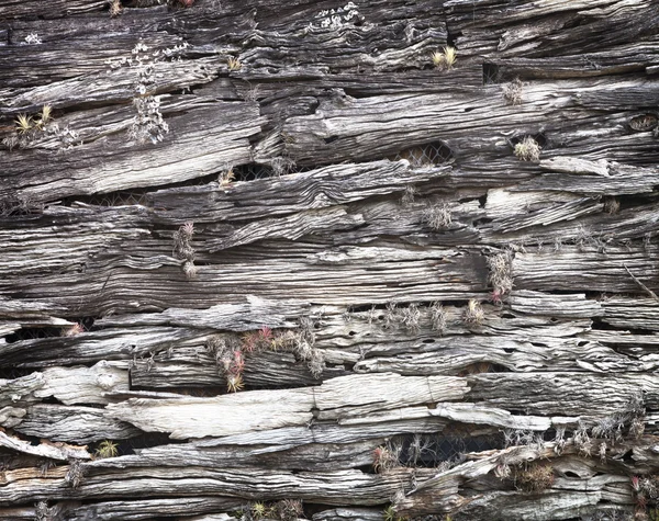 Vieux mur en bois altéré — Photo