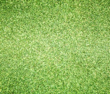 Golf sahaları yeşil çim