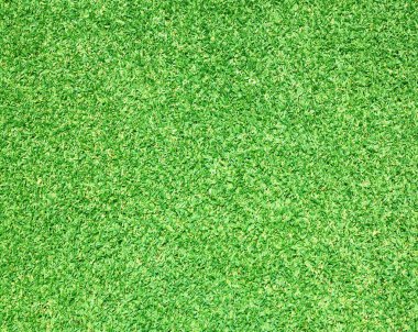 Golf sahaları yeşil çim