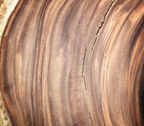 Textura de madera marrón — Foto de Stock