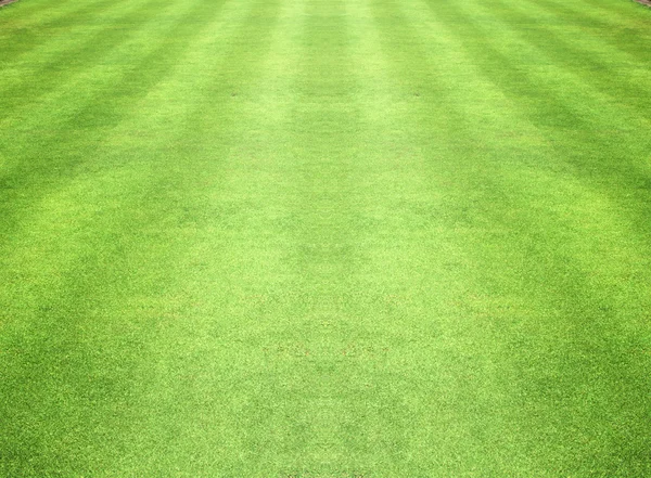 Campos de golf césped verde — Foto de Stock