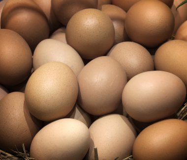 birçok yumurta yumurta