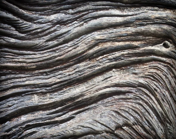 Background texture wood — Stock Photo, Image