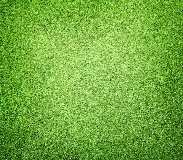 Pola golfowe zielony trawnik — Zdjęcie stockowe