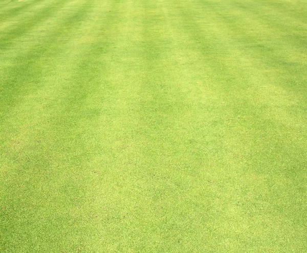 Lapangan golf rumput hijau — Stok Foto