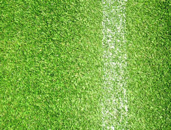Lawn football field borders — Stock Photo, Image