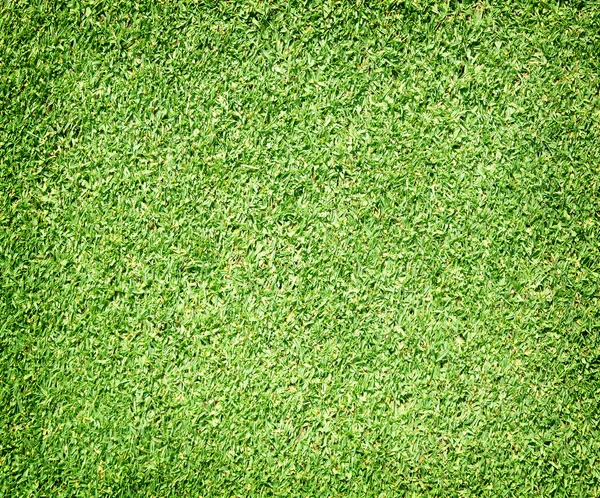 Belle texture d'herbe verte — Photo