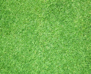 Güzel yeşil çimen dokusu