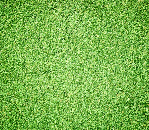 Belle texture d'herbe verte — Photo