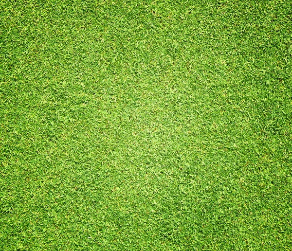 Belle texture d'herbe verte — Photo