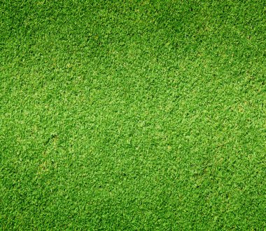 Golf sahaları yeşil çim