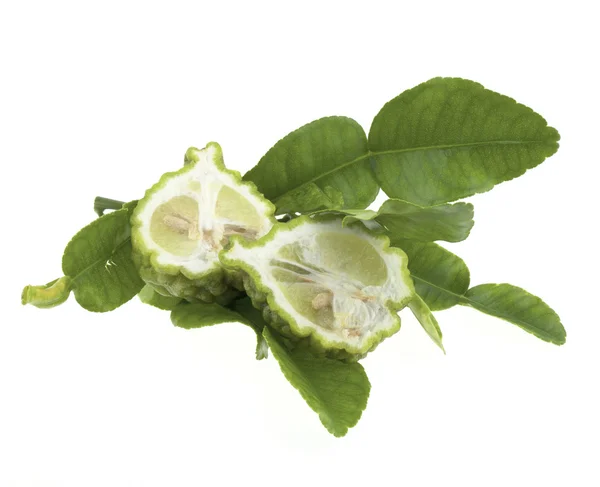 Bergamot — Stock Photo, Image