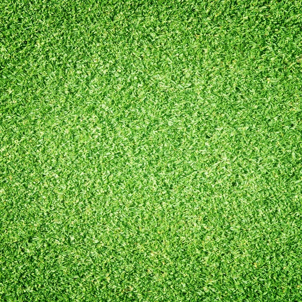 Campos de golf césped verde — Foto de Stock