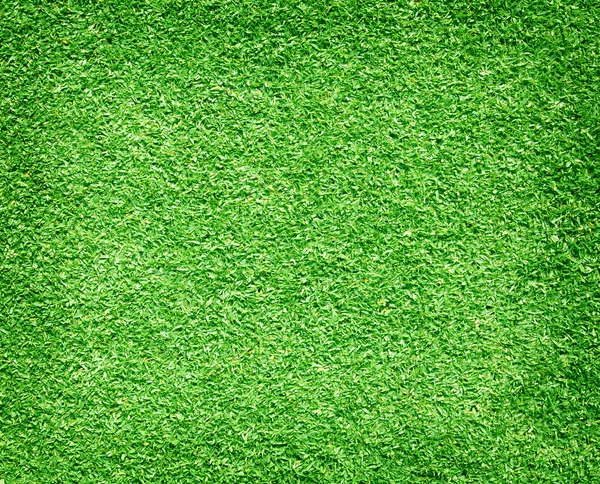 Golf Courses green lawn — Stock Photo, Image