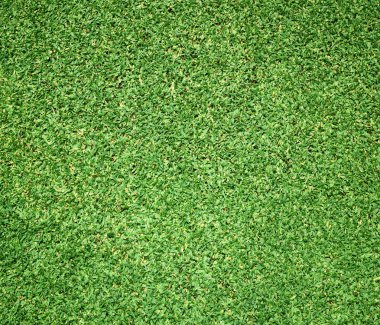 Güzel yeşil çimen dokusu