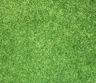 Güzel yeşil çimen dokusu