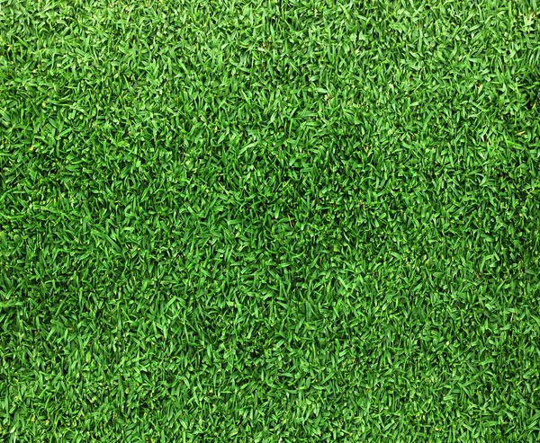 Piękna zielona konsystencja trawy — Zdjęcie stockowe