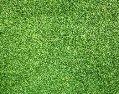 Güzel yeşil çimen dokusu