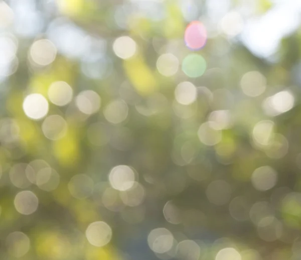 Blurred background bokeh — Stock Photo, Image