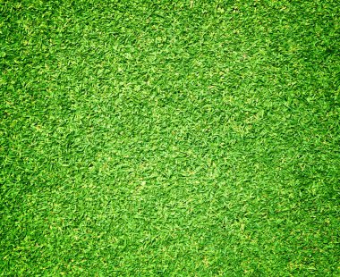 Çim arka plan soyut