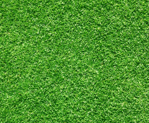 Erba sfondo verde — Foto Stock