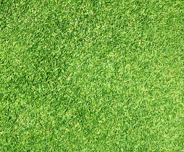 Анотація фоном трава — стокове фото