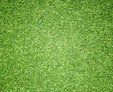 Golf sahaları yeşil çim