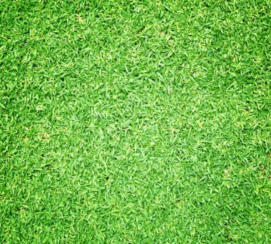 Eski Ayakkabı beyaz