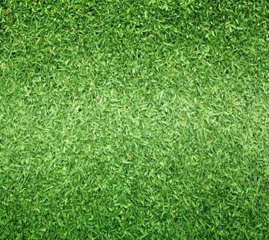 Eski Ayakkabı beyaz