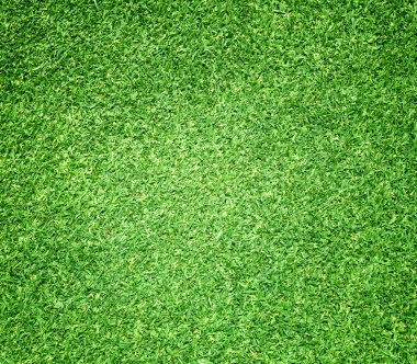 Golf sahaları yeşil çim