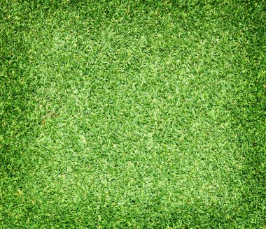 Golf sahaları yeşil çim