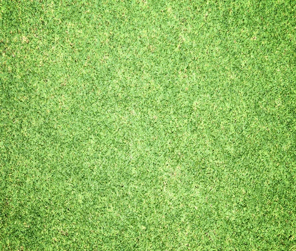 Golf Courses green lawn — Stock Photo, Image