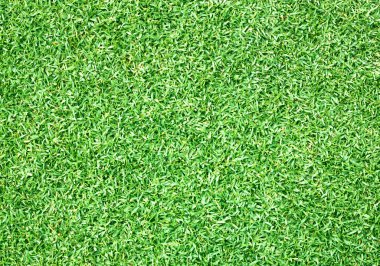 Golf sahaları yeşil çim