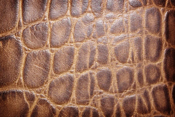 Brown leather texture background — Stock Photo, Image